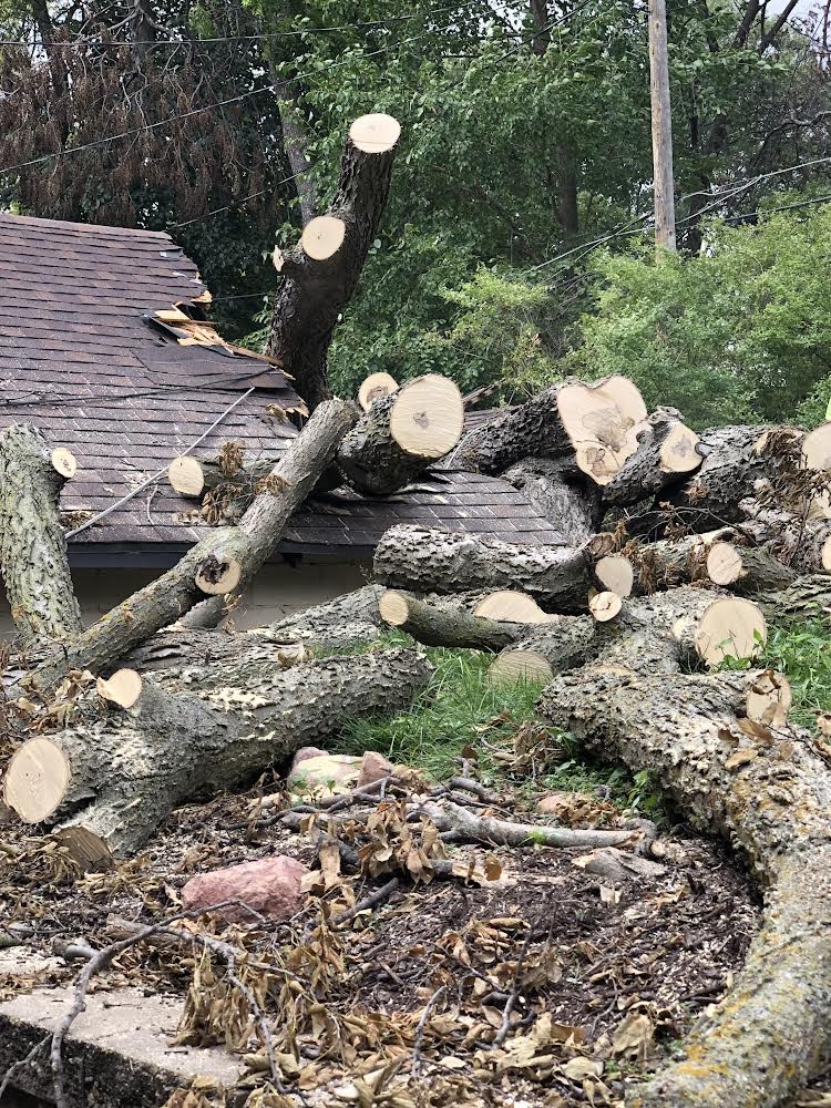 Insurance Claims Tree fell on garage in Dundee Omaha_ Nebraska and repaired by NMG Contracting